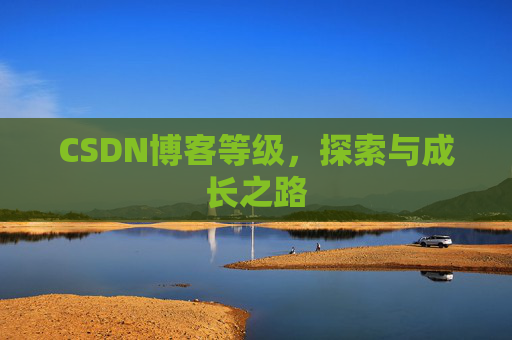 CSDN博客等级,探索与成长之路